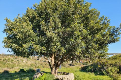 Lejlighed i Modica, Ragusa, Modica - € 150.000 | Ref: 9213 - foto 13