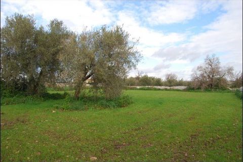 Lejlighed i Modica, Ragusa, Modica - € 140.000 | Ref: 9627 - foto 5