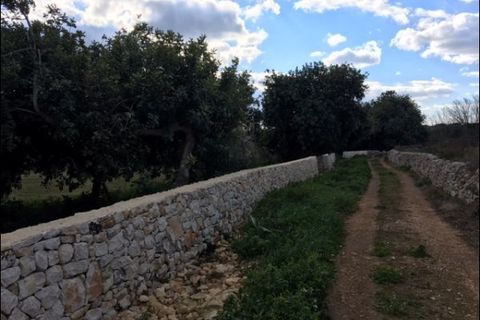 Lejlighed i Modica, Ragusa, Modica - € 335.000 | Ref: 10246 - foto 7