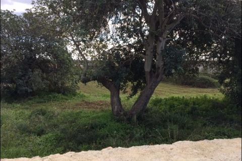 Lejlighed i Modica, Ragusa, Modica - € 335.000 | Ref: 10246 - foto 8
