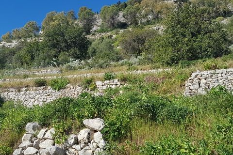 Lejlighed i Modica, Ragusa, Modica - € 15.000 | Ref: 10613 - foto 2