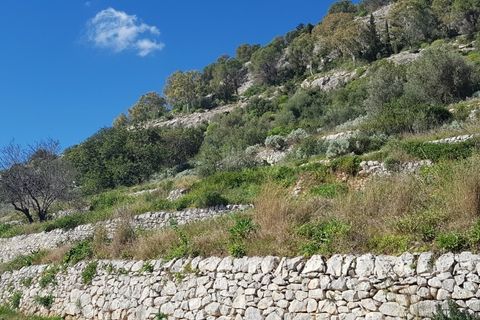 Lejlighed i Modica, Ragusa, Modica - € 15.000 | Ref: 10613 - foto 3