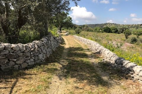 Lejlighed i Modica, Ragusa, Modica - € 20.000 | Ref: 10664 - foto 6