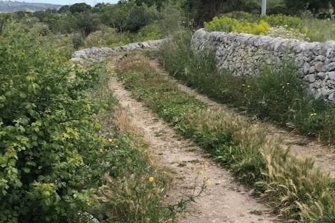 Lejlighed i Modica, Ragusa, Modica - € 20.000 | Ref: 10664 - foto 9