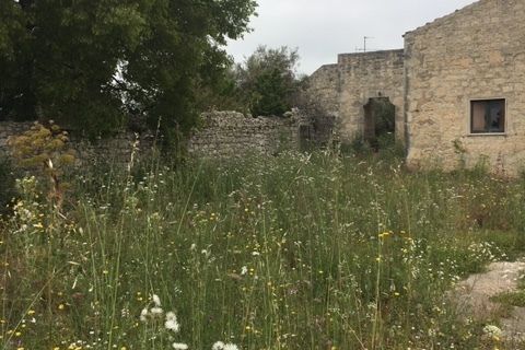 Villa i Modica, Ragusa, Modica - € 350.000 | Ref: 10666 - foto 12