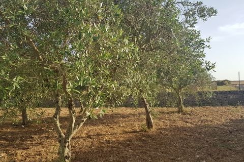 Villa i Modica, Ragusa, Modica - € 162.000 | Ref: 10691 - foto 15