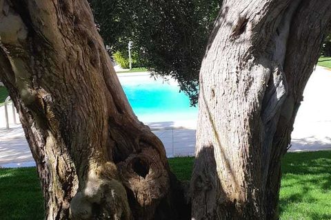 Villa i Scicli, Ragusa, Scicli - € 400.000 | Ref: 10907 - foto 18