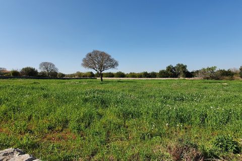 Lejlighed i Modica, Ragusa, Modica - € 21.500 | Ref: 10918-B - foto 8