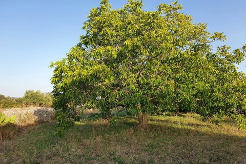 Villa i Modica, Ragusa, Modica - € 190.000 | Ref: 11113 - foto 14