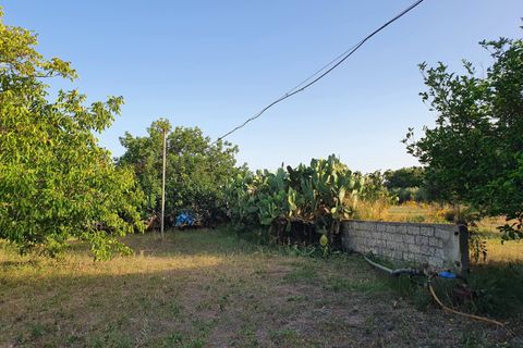 Villa i Modica, Ragusa, Modica - € 190.000 | Ref: 11113 - foto 15