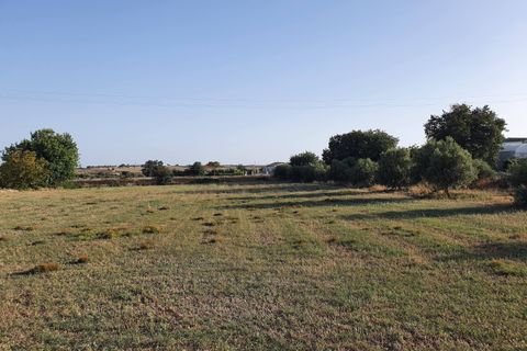 Villa i Modica, Ragusa, Modica - € 190.000 | Ref: 11113 - foto 18