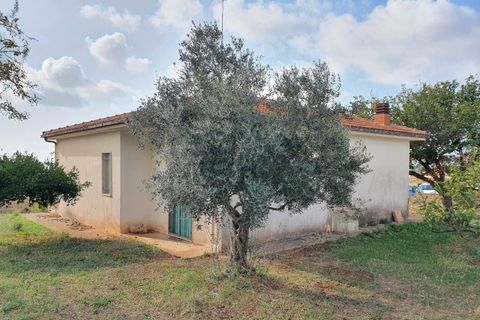 Lejlighed i Modica, Ragusa, Modica - € 250.000 | Ref: 11136 - foto 9