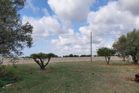 Lejlighed i Modica, Ragusa, Modica - € 250.000 | Ref: 11136 - foto 28