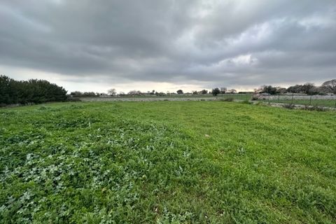 Willa: Modica, Ragusa, Modica – 210 000 € | Ref: 11195 – zdjęcie 20