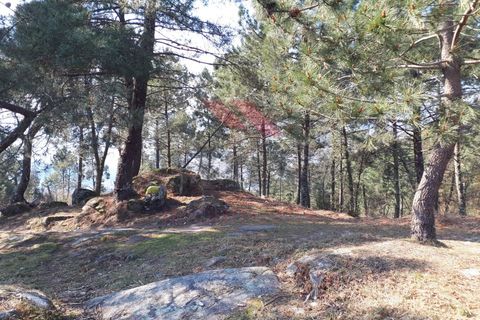 Villa i Arcos de Valdevez, Viana do Castelo, Arcos de Valdevez - € 8.000 | Ref: AVV-2146-JE-0322 - foto 13