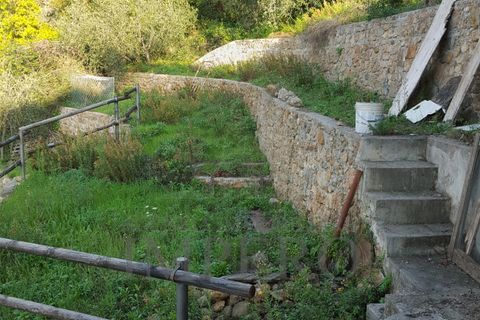 Villa i Ventimiglia, Imperia, Ventimiglia - € 600.000 | Ref: 1392 - foto 7