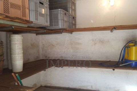 Villa a Soldano, Imperia, Soldano - € 130.000 | Ref: 1984 - foto 4