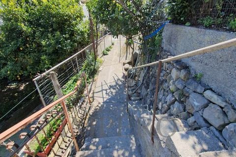Villa a Camporosso, Imperia, Camporosso - € 400.000 | Ref: 20976 - foto 17