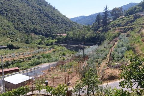 Villa a Isolabona, Imperia, Isolabona - € 450.000 | Ref: 21046 - foto 4