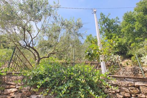 Villa a Isolabona, Imperia, Isolabona - € 450.000 | Ref: 21046 - foto 6