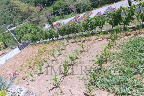 Villa a Isolabona, Imperia, Isolabona - € 450.000 | Ref: 21046 - foto 7