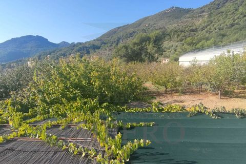Villa i Ventimiglia, Imperia, Ventimiglia - € 850.000 | Ref: 22114 - foto 35