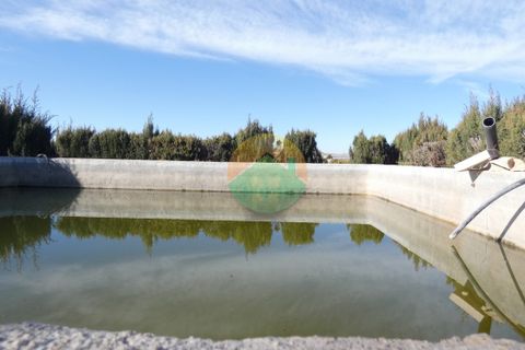 Finca i Lorca, Murcia, Lorca - € 330.000 | Ref: LORCA02 - foto 14