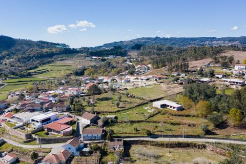 Terra a Fafe, Braga, Fafe - € 74.500 | Ref: ZMPT555774 - foto 12