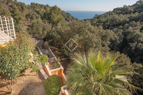 Villa a Tossa De Mar, Gerona, Tossa De Mar - € 1.300.000 | Ref: CBR38847 - foto 43