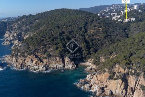 Villa a Tossa De Mar, Gerona, Tossa De Mar - € 1.300.000 | Ref: CBR38847 - foto 48