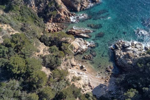 Villa a Tossa De Mar, Gerona, Tossa De Mar - € 1.300.000 | Ref: CBR38847 - foto 49