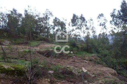 Helårsgrund i Guimaraes, Braga, Guimaraes - € 238.000 | Ref: 356/T/00244 - foto 3