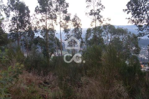 Helårsgrund i Guimaraes, Braga, Guimaraes - € 238.000 | Ref: 356/T/00244 - foto 6