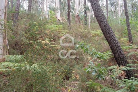 Helårsgrund i Guimaraes, Braga, Guimaraes - € 60.000 | Ref: 356/T/00290 - foto 5
