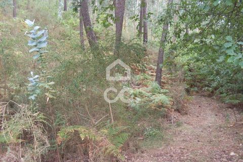 Helårsgrund i Guimaraes, Braga, Guimaraes - € 60.000 | Ref: 356/T/00290 - foto 6