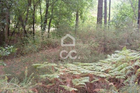 Helårsgrund i Guimaraes, Braga, Guimaraes - € 60.000 | Ref: 356/T/00290 - foto 7