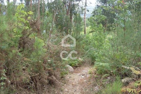 Helårsgrund i Guimaraes, Braga, Guimaraes - € 60.000 | Ref: 356/T/00290 - foto 8