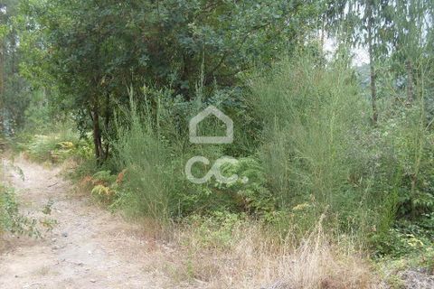 Helårsgrund i Guimaraes, Braga, Guimaraes - € 60.000 | Ref: 356/T/00290 - foto 9