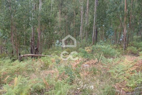 Helårsgrund i Guimaraes, Braga, Guimaraes - € 60.000 | Ref: 356/T/00290 - foto 10