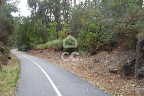 Helårsgrund i Guimaraes, Braga, Guimaraes - € 60.000 | Ref: 356/T/00290 - foto 11