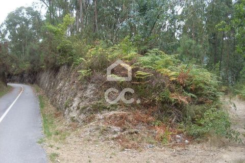 Helårsgrund i Guimaraes, Braga, Guimaraes - € 60.000 | Ref: 356/T/00290 - foto 12