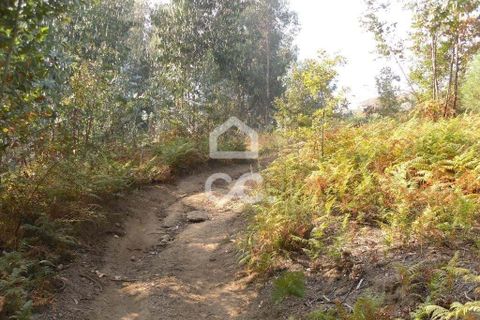 Helårsgrund i Guimaraes, Braga, Guimaraes - € 56.000 | Ref: 356/T/00306 - foto 3