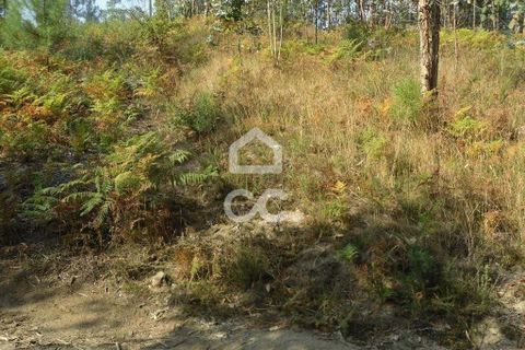 Helårsgrund i Guimaraes, Braga, Guimaraes - € 56.000 | Ref: 356/T/00306 - foto 4