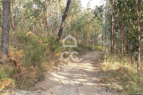 Helårsgrund i Guimaraes, Braga, Guimaraes - € 56.000 | Ref: 356/T/00306 - foto 5