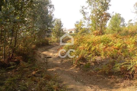 Helårsgrund i Guimaraes, Braga, Guimaraes - € 56.000 | Ref: 356/T/00306 - foto 6