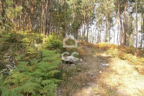 Helårsgrund i Guimaraes, Braga, Guimaraes - € 56.000 | Ref: 356/T/00306 - foto 11