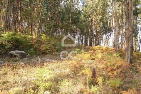 Helårsgrund i Guimaraes, Braga, Guimaraes - € 56.000 | Ref: 356/T/00306 - foto 12