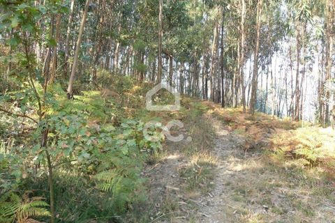 Helårsgrund i Guimaraes, Braga, Guimaraes - € 56.000 | Ref: 356/T/00306 - foto 13