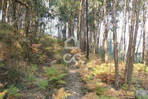 Helårsgrund i Guimaraes, Braga, Guimaraes - € 56.000 | Ref: 356/T/00306 - foto 14