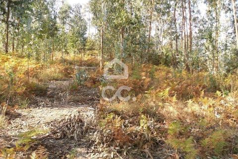 Helårsgrund i Guimaraes, Braga, Guimaraes - € 56.000 | Ref: 356/T/00306 - foto 16